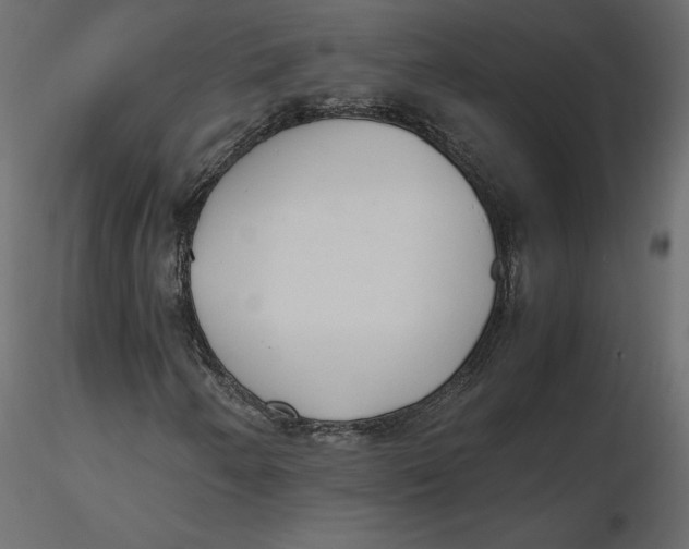 X0000116581250200912312007