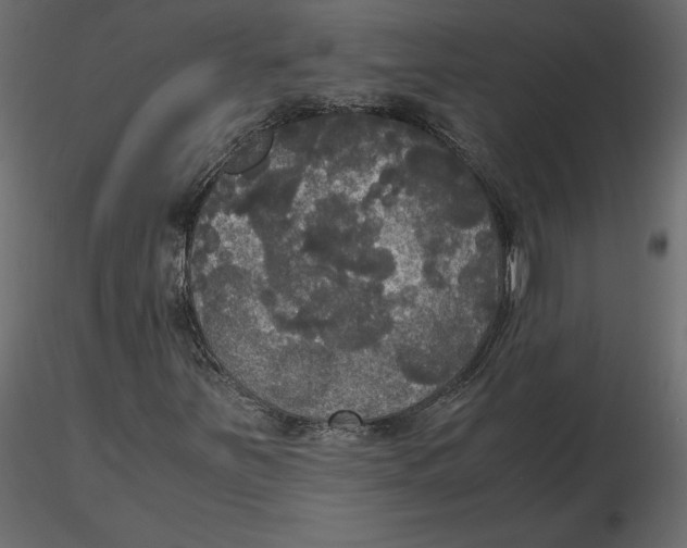 X0000116581251200912312007