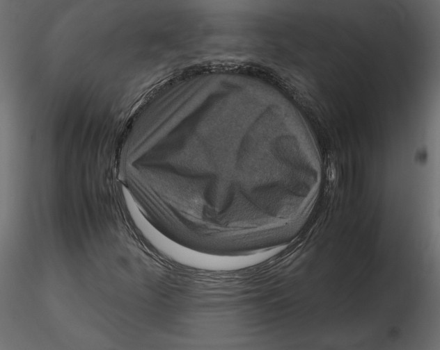 X0000116581252200912312007