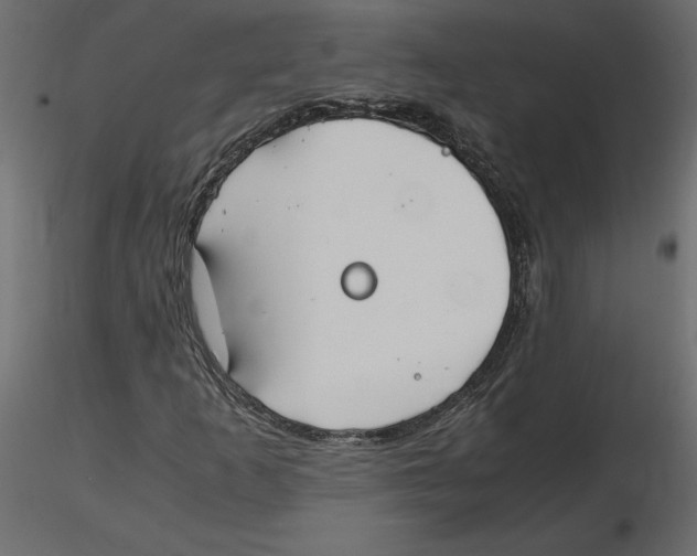 X0000116581253200912312007