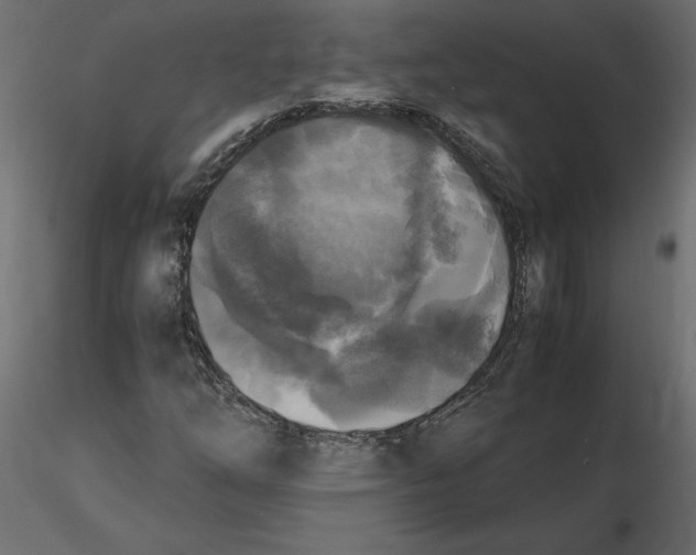 X0000116581254200912312007