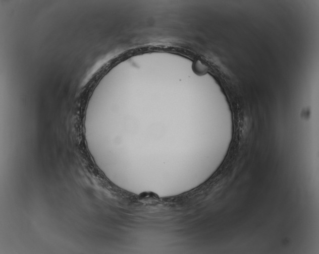 X0000116581256200912312007