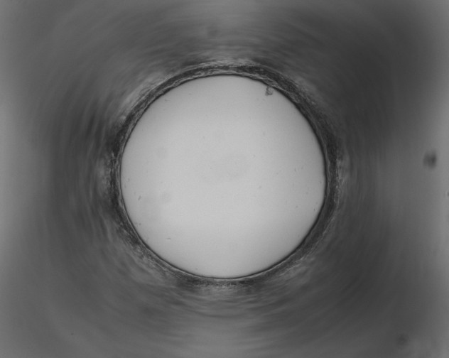 X0000116581257200912312007