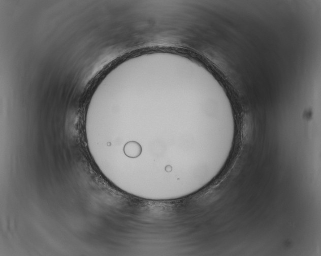 X0000116581258200912312007