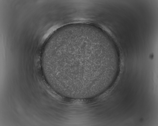 X0000116581259200912312007