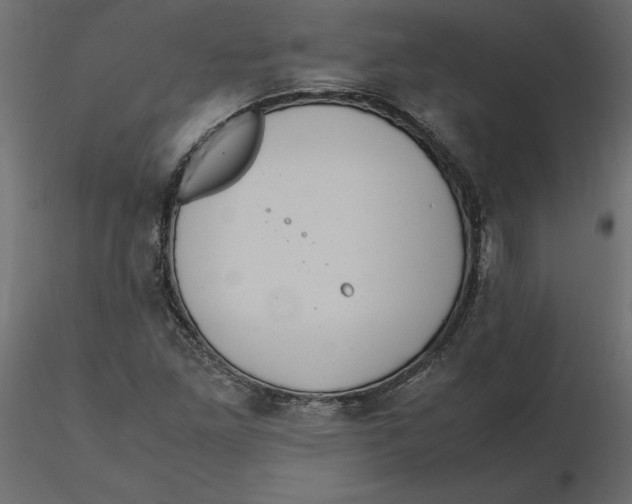 X0000116581261200912312007