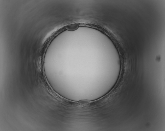 X0000116581262200912312007