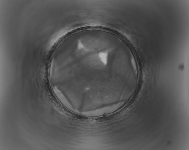 X0000116581263200912312007