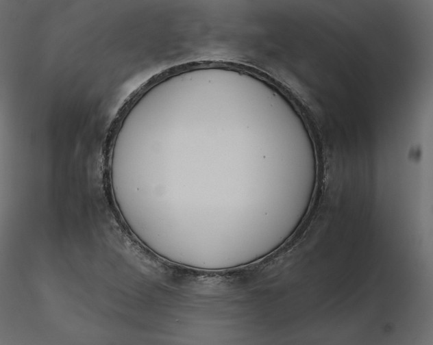 X0000116581264200912312007