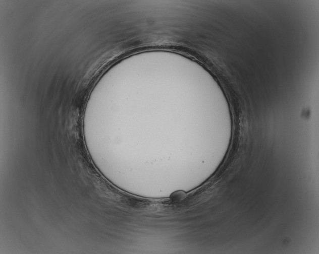 X0000116581265200912312007