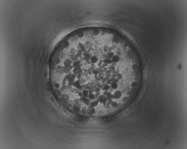 X0000116581267200912312007