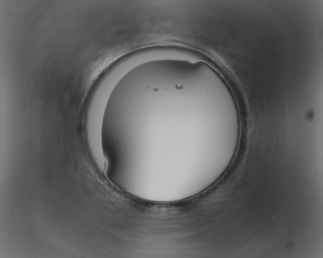 X0000116581269200912312007