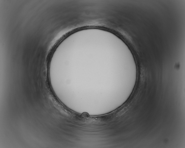 X0000116581270200912312007