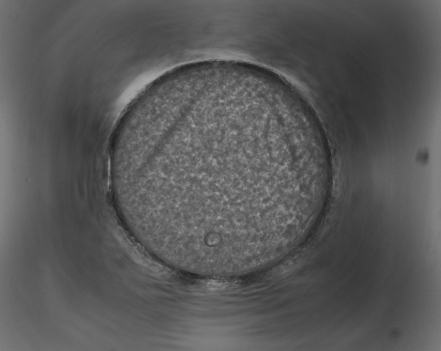 X0000116581271200912312007