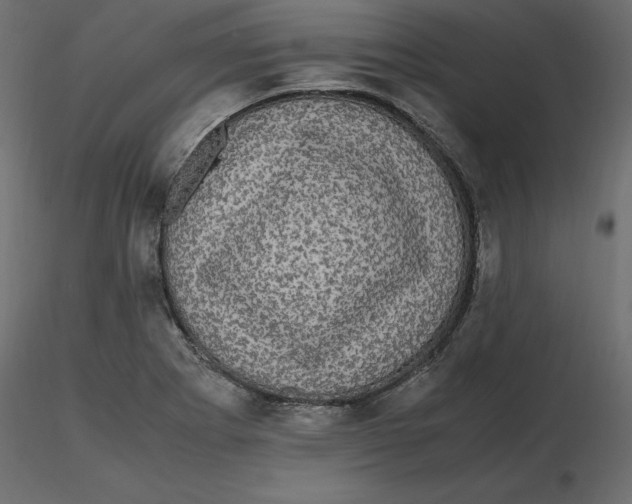 X0000116581273200912312007