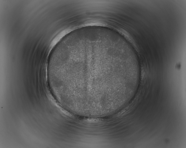 X0000116581274200912312007