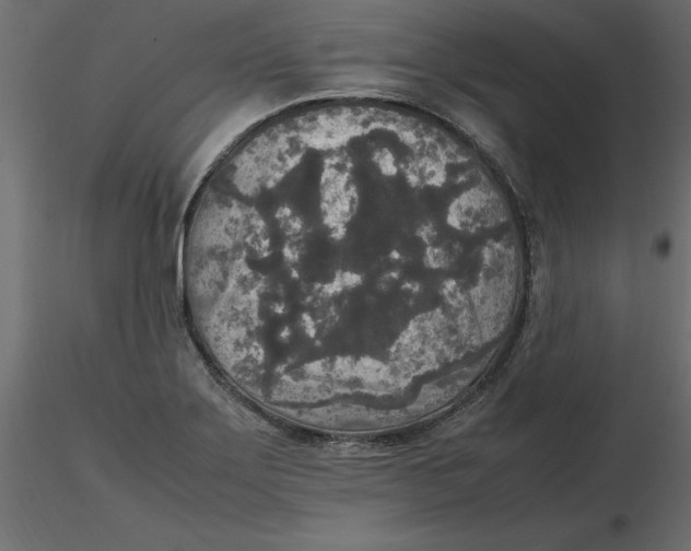 X0000116581275200912312007