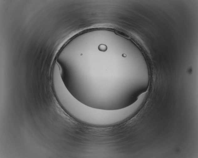 X0000116581276200912312007