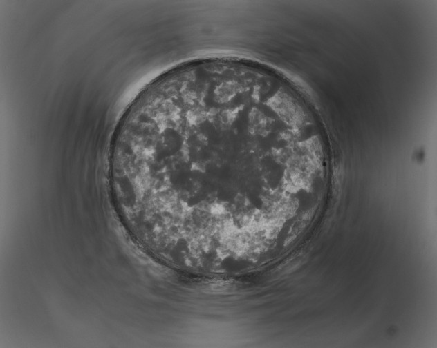 X0000116581279200912312007