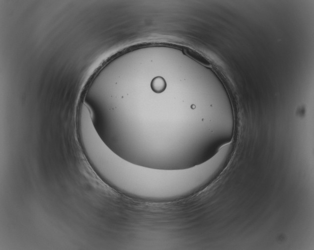 X0000116581280200912312007