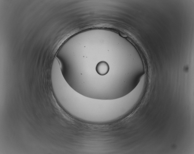 X0000116581281200912312007