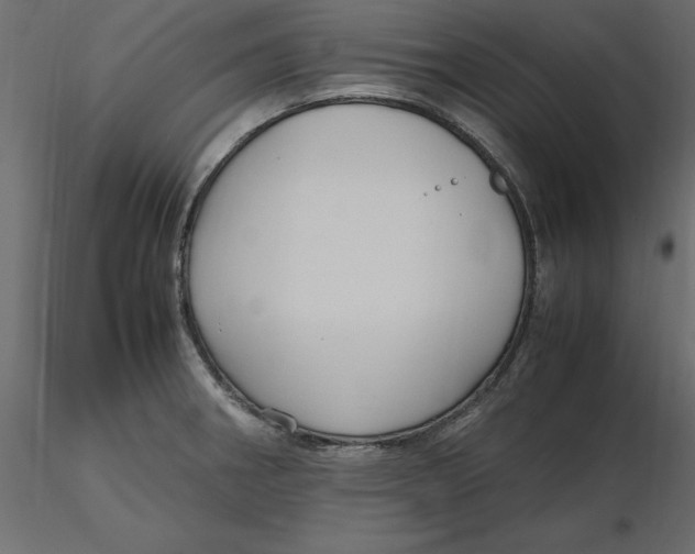 X0000116581282200912312007