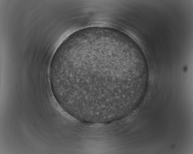 X0000116581283200912312006