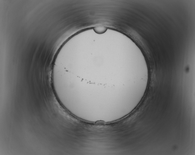 X0000116581284200912312006