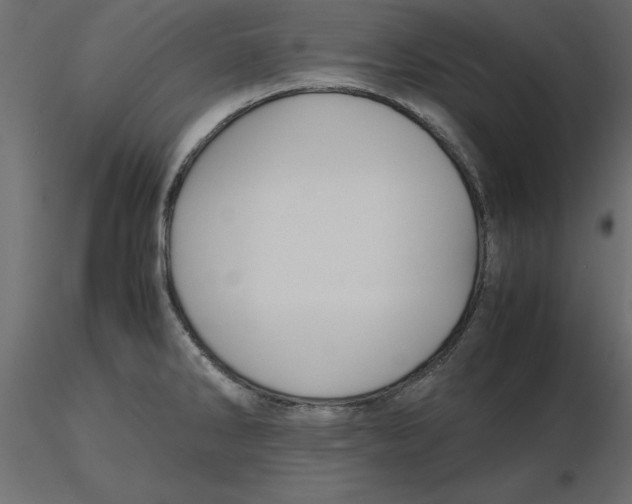 X0000116581286200912312006