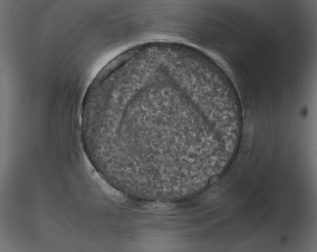 X0000116581287200912312006