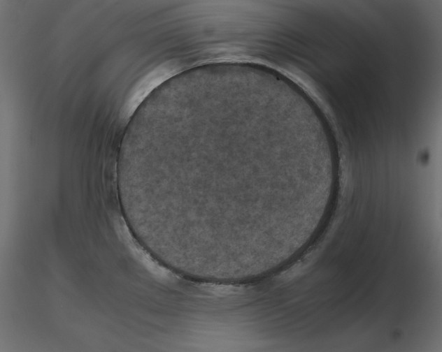 X0000116581289200912312006