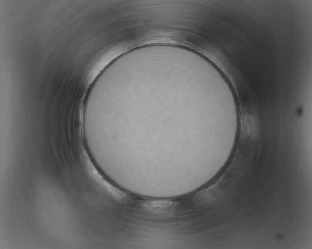 X0000116581290200912312006