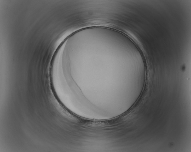 X0000116581291200912312006