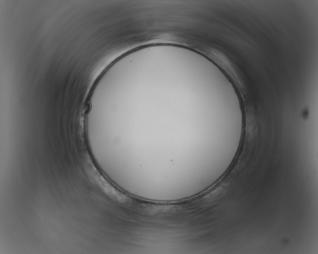 X0000116581292200912312006