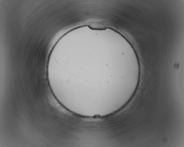 X0000116581296200912312006