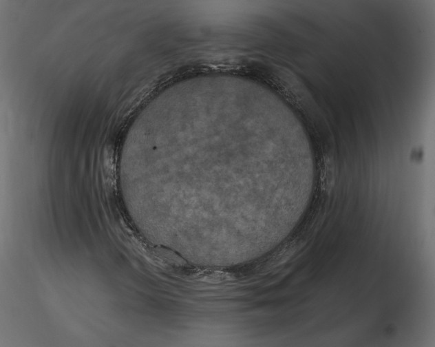 X0000116581298200912312006