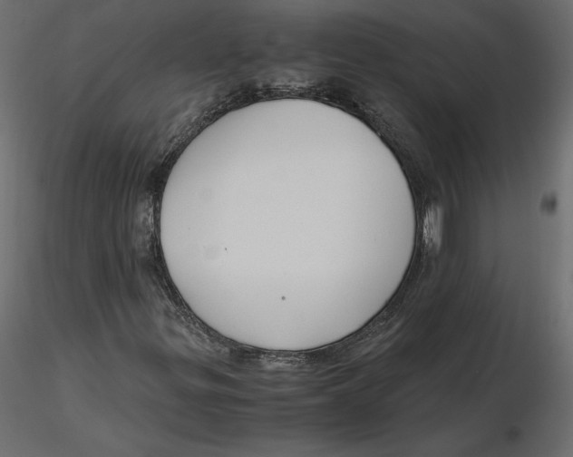 X0000116581299200912312006