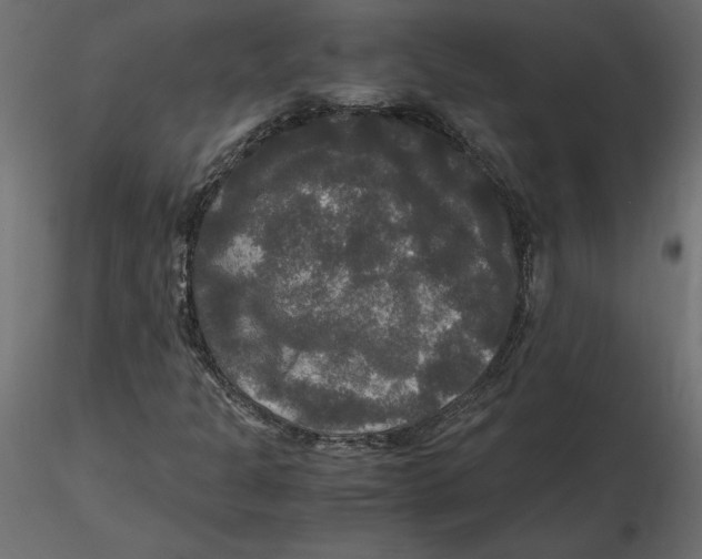 X0000116581301200912312006