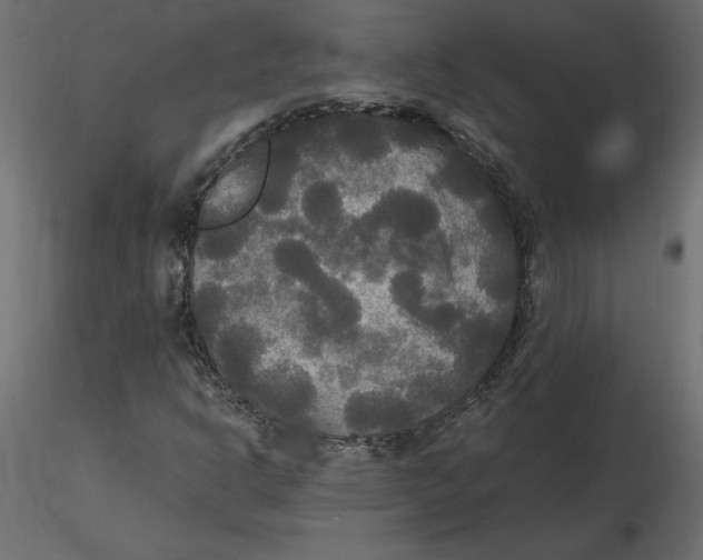 X0000116581302200912312006