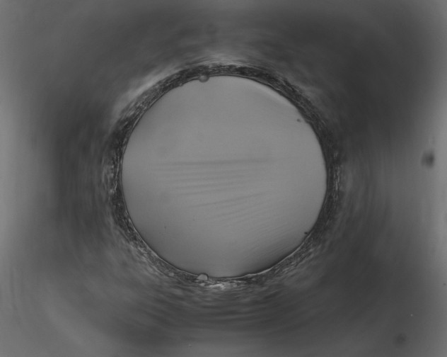 X0000116581303200912312006