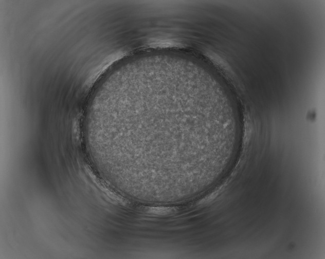 X0000116581305200912312006