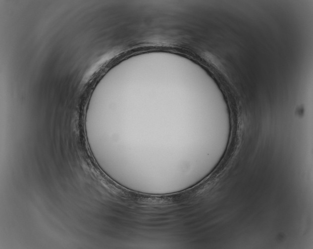 X0000116581307200912312006