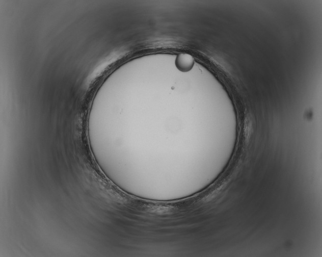 X0000116581309200912312006