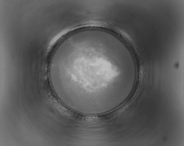 X0000116581310200912312006