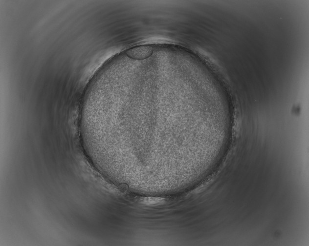 X0000116581313200912312006