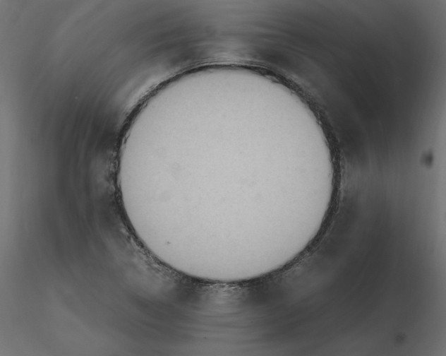 X0000116581314200912312006