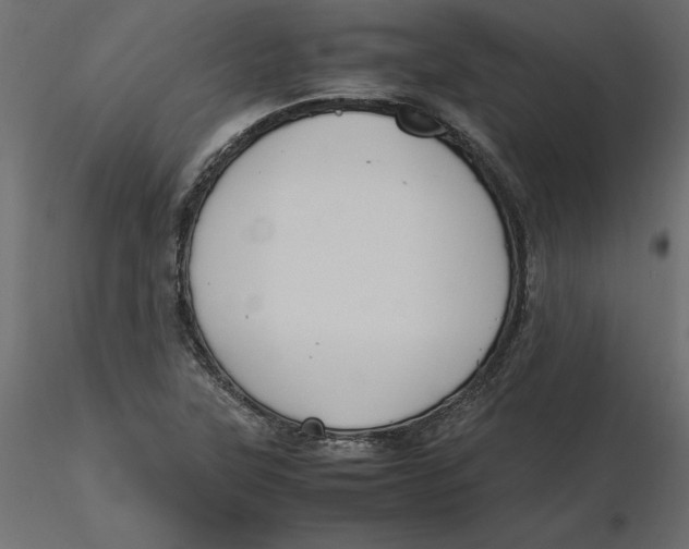 X0000116581315200912312006