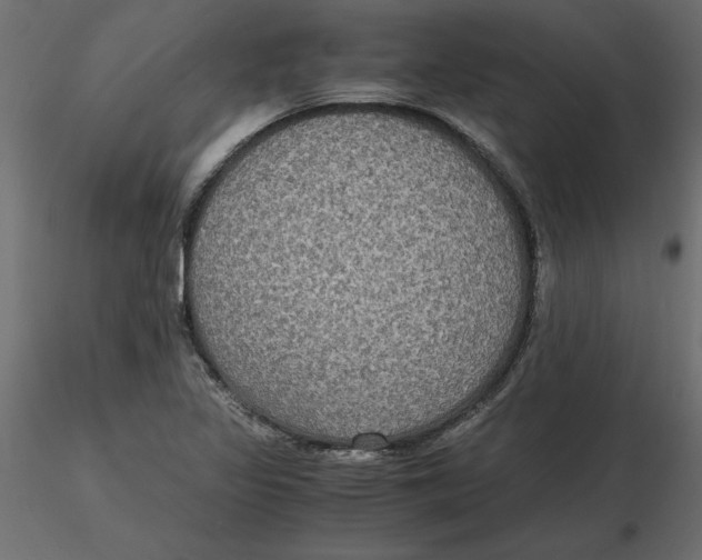 X0000116581317200912312006