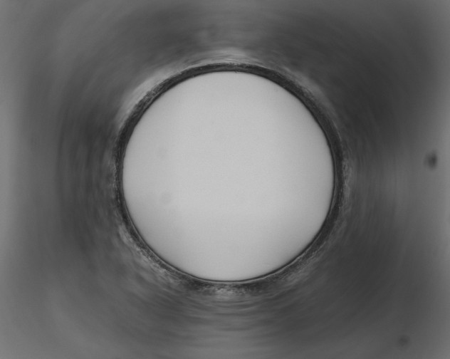 X0000116581318200912312006