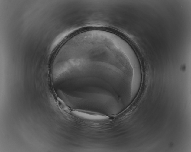 X0000116581319200912312006